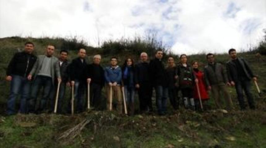 Salihli Kulalılar Derneği 500 Fidan Dikti