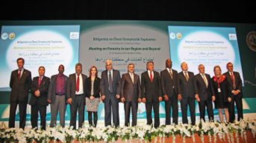 Filistinli Bakan: İsrail Zeytin Ağa&ccedil;larımızı Bile Benzin D&ouml;k&uuml;p Yaktı