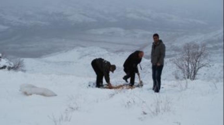 Batman'da Yaban Hayvanları İ&ccedil;in Doğaya Yem Bırakıldı