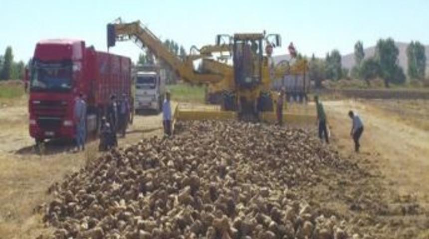 &ldquo;pancar &Uuml;reticisi Kan Ağlıyor&rdquo;