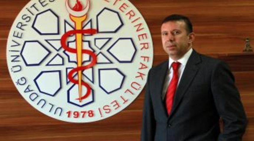 D&uuml;nyanın Ilk Klon Inekleri Anne Oldu