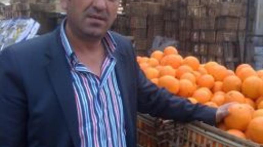 T&uuml;semkom Başkanvekili &Ouml;zt&uuml;rk, Mısır Pazarını İnceledi