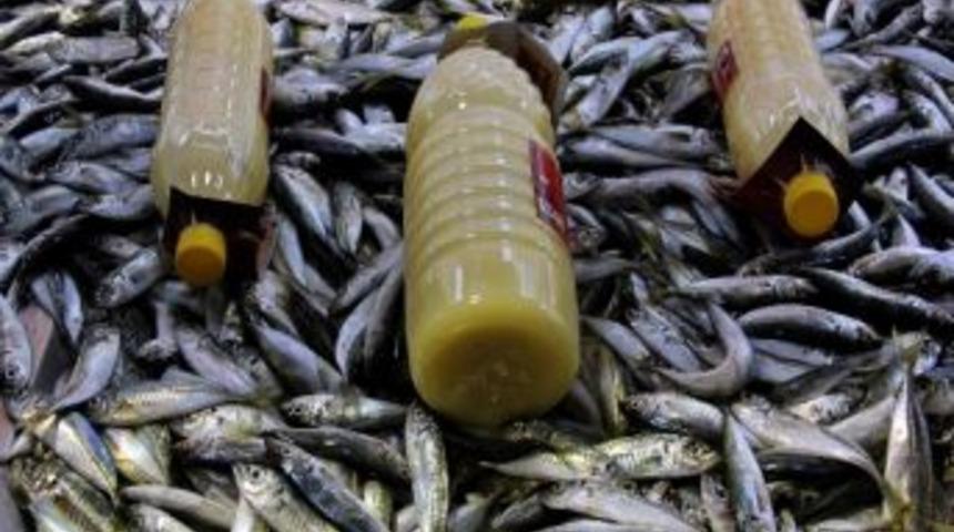 Zinde Kalmak İ&ccedil;in Balık Ve Boza