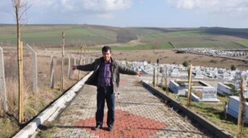Şehir Mezarlığı Ağa&ccedil;landırıldı
