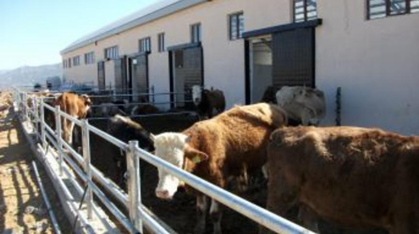 Yozgat TKDK, 12 &Uuml;reticiye 7 Milyon TL Hibe Desteği &Ouml;dedi