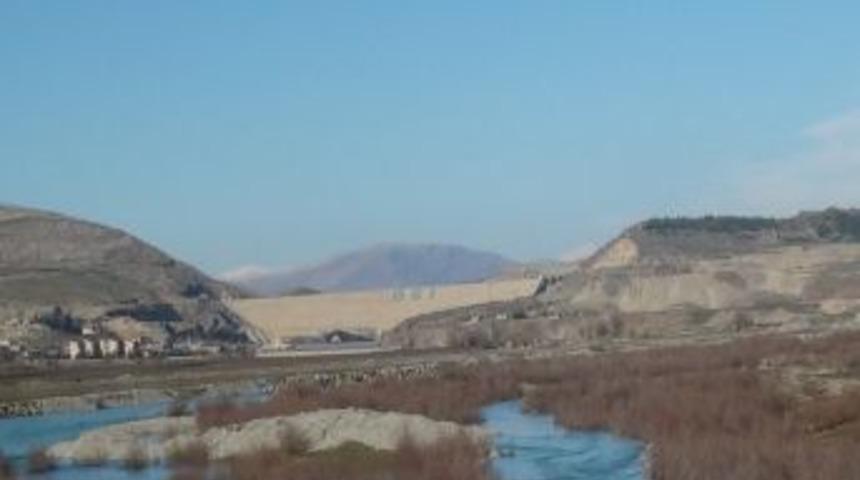 Batman &Ccedil;ayı'nda Yem Arayan Kuşlar, Renkli G&ouml;r&uuml;nt&uuml;ler Oluşturuyor