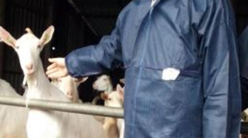 Koyun Ke&ccedil;i Birliği Başkanı Akın: Yetiştiriciler Kendi Yemlerini &Uuml;retmeli