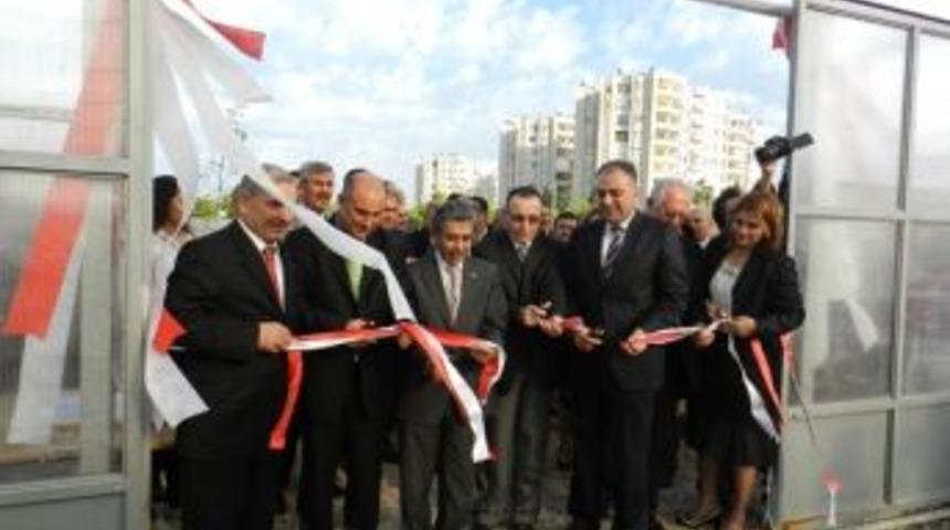 's&uuml;s Bitkileri Yetiştiriciliği İle Ekonomik Katılım' Projesi