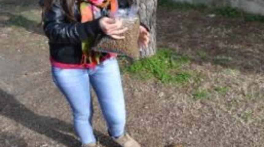 Burhaniye&rsquo;de Sokak Hayvanlarına &Ouml;ğrenci Eli