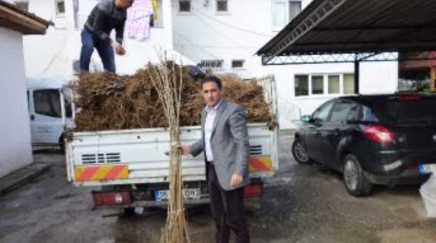 K&ouml;yceğiz İpek B&ouml;cek&ccedil;iliğinin De Merkezi Oluyor