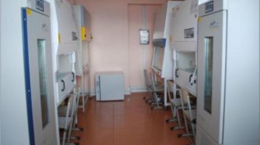 &Ccedil;i&ccedil;ek Tozundan D&ouml;llenme Olmaksızın Tam Mısır Bitkisi Elde Edildi