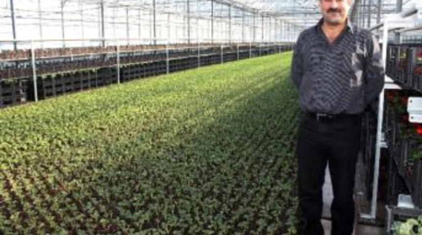 Yalova &Ccedil;i&ccedil;ek&ccedil;ilik &Uuml;ss&uuml; Olacak