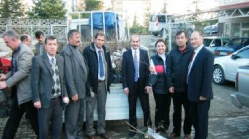 Kivi Yetiştiriciliği Ve Teşvik