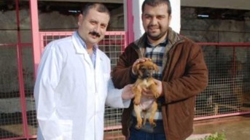 &Uuml;mmet Akın: Yaşatmak sanattır