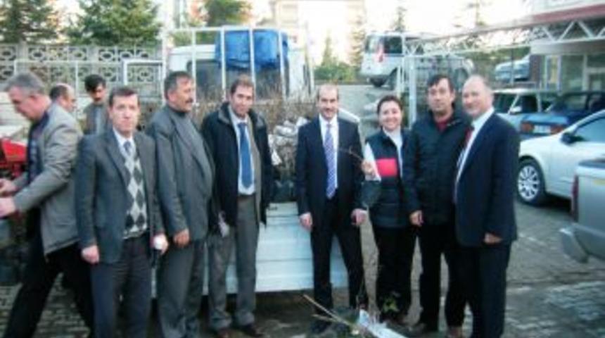 Samsun'da Üreticilere Kivi Fidanı Dağıtılmaya Başlandı