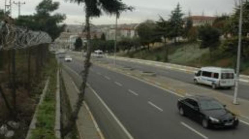 &Ccedil;am Ağacının Azmi Beton Duvarı Deldi