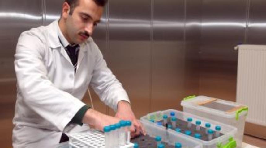 Kablosuz Internet, Sara Hastasının Hastalığını Artırıyor