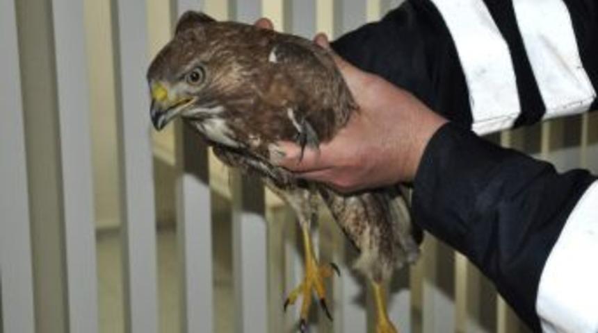 Yaralı Şahin&rsquo;e Jandarma Şevkati