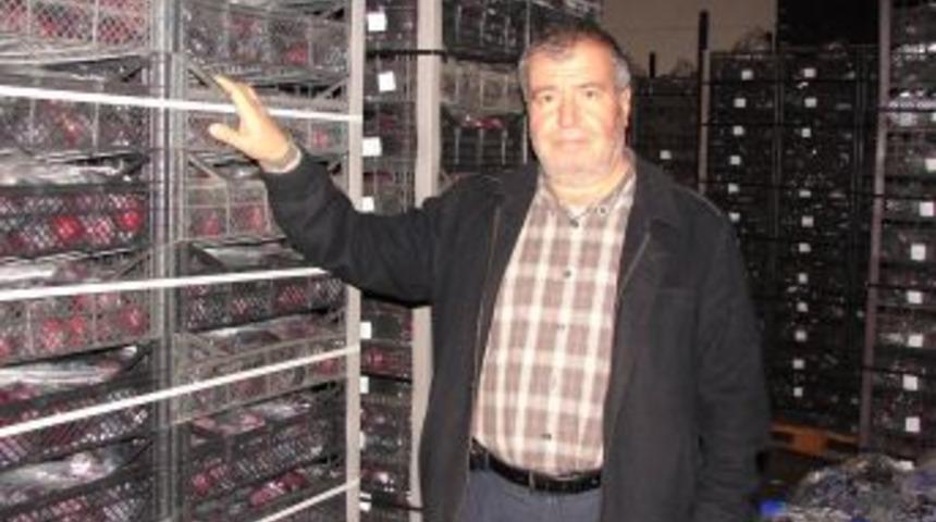 T&uuml;rkiye'nin Meyveleri, &Ccedil;ivril'deki Soğuk Hava Depolarında Korunuyor