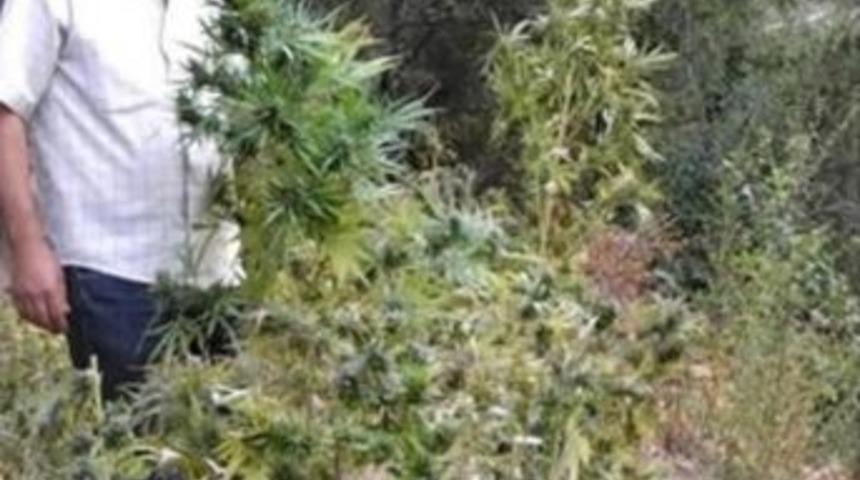 Denizli'de Uyuşturucu Ticaretine 2 Tutuklama