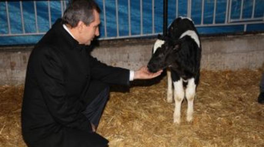 Vali Yazıcı: TKDK Hibe Destekleriyle &Uuml;reticiler Modern Tesislere Kavuşuyor