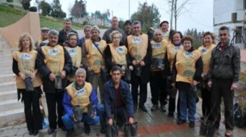 Tema Vakfı, Nar Ve Kivi Fidanı Dağıttı