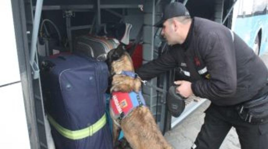 Keşan Jandarma G&ouml;z A&ccedil;tırmıyor