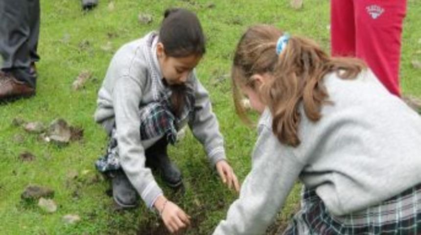 Ortacalı Minikler 150 &Ccedil;am Fidanını Toprakla Buluşturdu