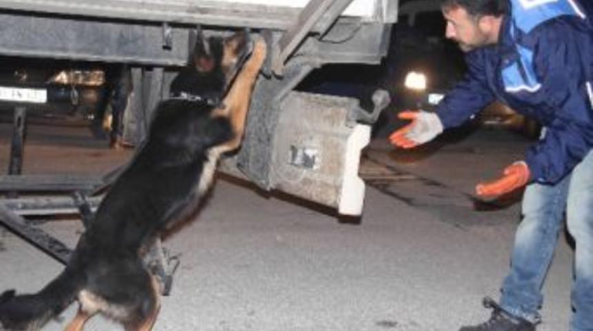 Mersin'de Uyuşturucu Operasyonu