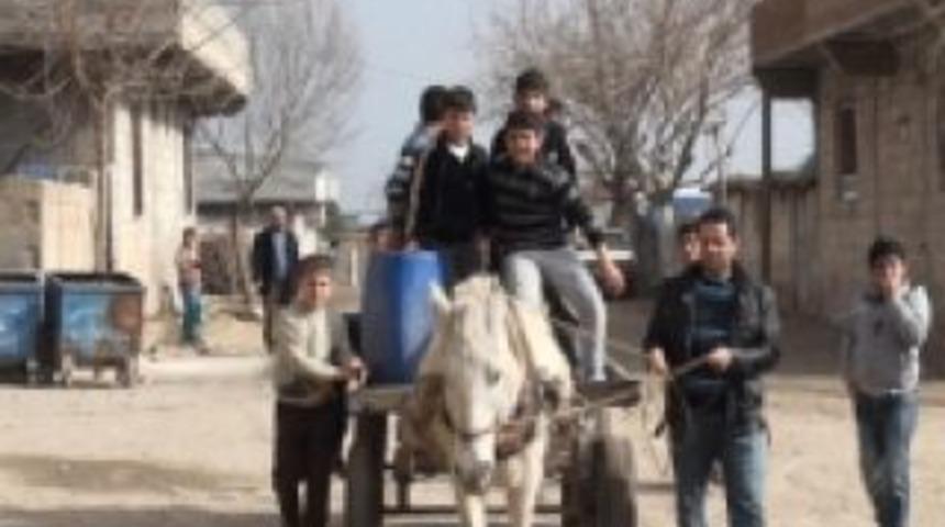 At arabasıyla su taşıyorlar