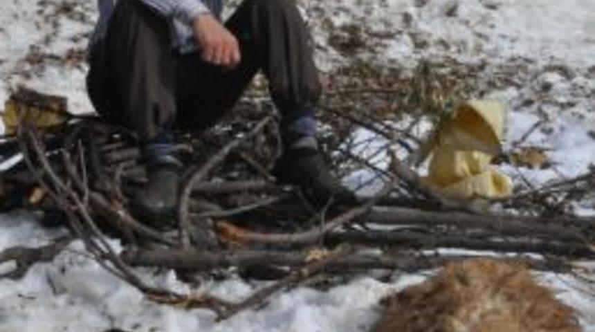 Bitlis&rsquo;te 1 Ay İ&ccedil;inde 105 Hayvan Telef Oldu