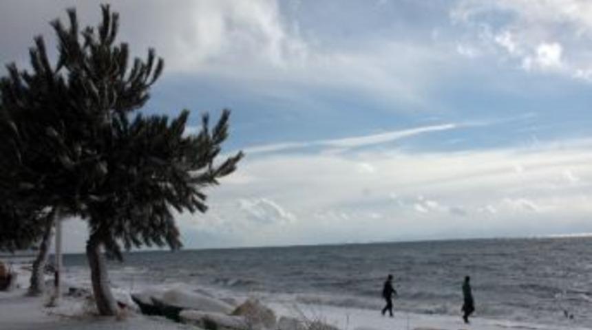 (&ouml;zel Haber) Ahlat K&uuml;mbetleri Gelin Gibi S&uuml;slendi