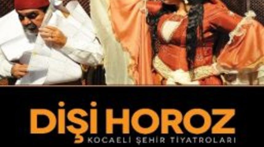 Dişi Horoz Akm&rsquo;de