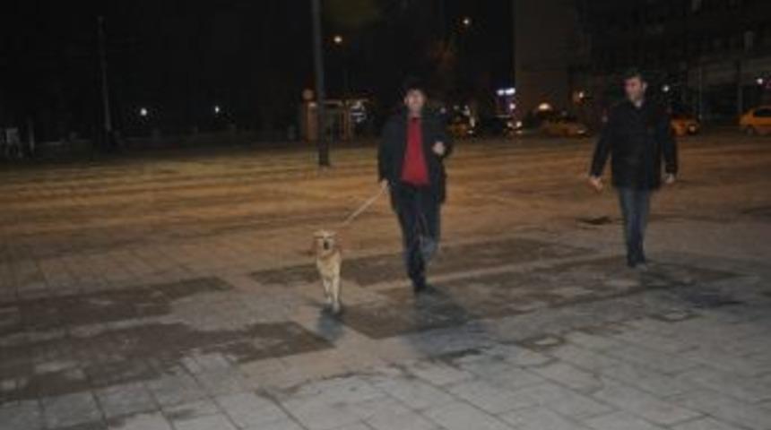 Kaybolan K&ouml;peğe Polis Sahip &Ccedil;ıktı