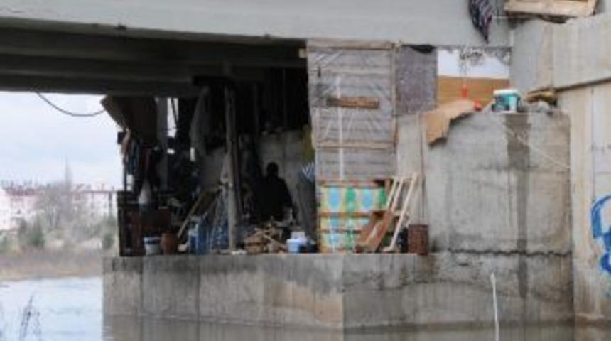 (&ouml;zel Haber) K&ouml;pr&uuml; Altına Ev Yaptı