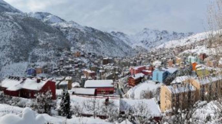 G&uuml;m&uuml;şhane N&uuml;fusunu Y&uuml;zde 2 Artırdı