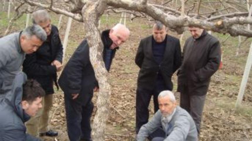 GİMDER'den Kivi Eğitimi