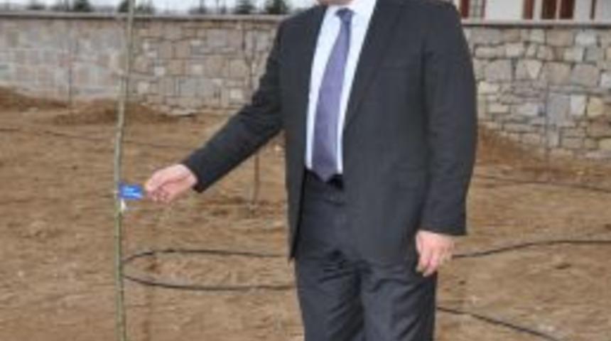 Meram Bağları Yeniden Canlanıyor