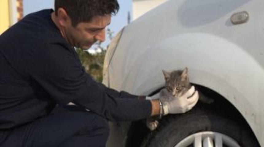 &ldquo;sevimli Dostlar İ&ccedil;in 1 Dakika Dur&rdquo;