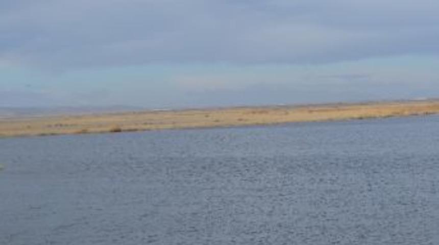 Kamış &Ccedil;ift&ccedil;inin Ekmek Kapısı Oldu