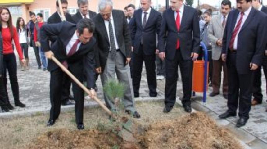 Antalya&rsquo;da Okullara 15 Bin Fidan Dağıtılacak