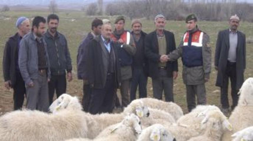 Bor'da &Ccedil;alışan Koyunlar 24 Saat Ge&ccedil;meden Bulundu