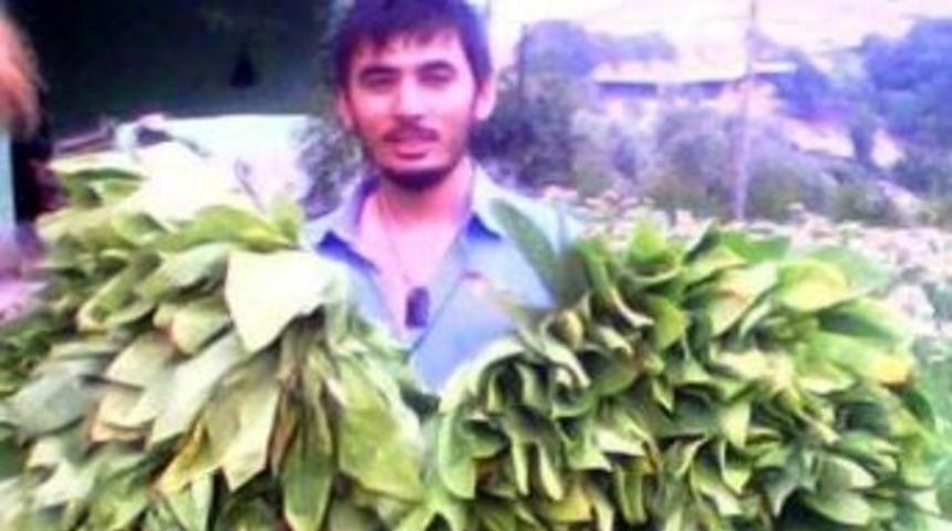 &Uuml;niversite &Ouml;ğrencisi Kansere Yenik D&uuml;şt&uuml;