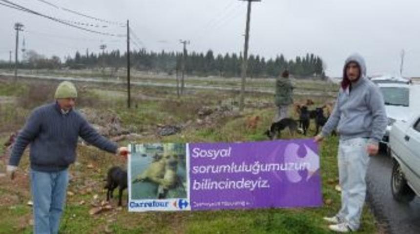 G&ouml;n&uuml;ll&uuml; Projeyle Sokak Hayvanlarını Besliyorlar