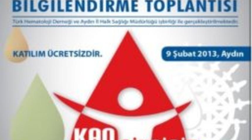 Aydın&rsquo;da Kan Hastalıkları Bilgilendirme Toplantısı D&uuml;zenlenecek