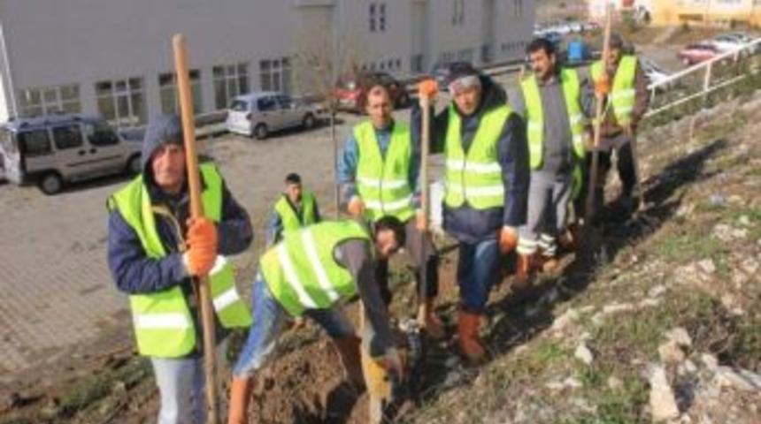 Kandıra F Tipi Cezaevi'nin &Ccedil;evresi Yeşilleniyor