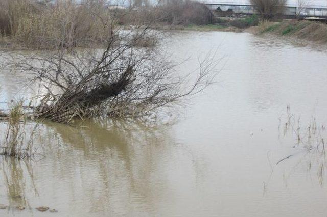 Küçük Menderes Nehri Taştı 1