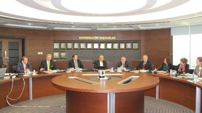 2020 Uluslararası Turun&ccedil;gil Kongresi'ne Doğru