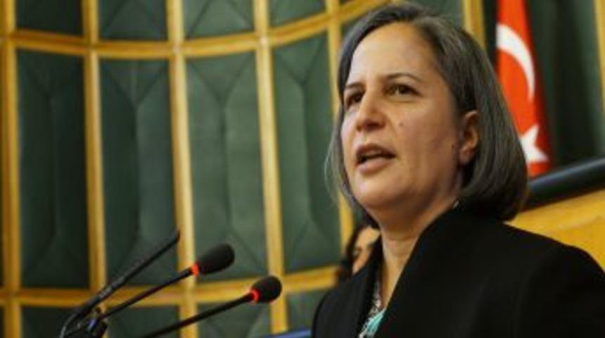 Kışanak: CHP'li Vekil Irk&ccedil;ılık Hastalığından Kurtulmak I&ccedil;in Yardım Istemeli