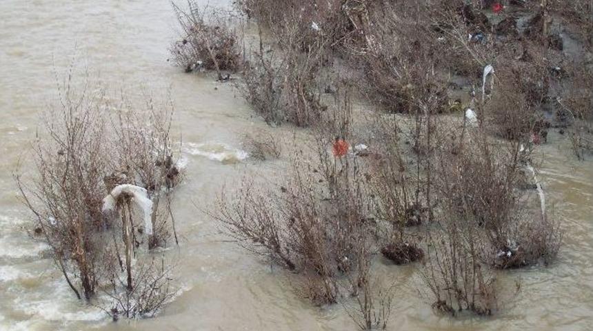 Sular &Ccedil;ekildi, &Ccedil;&ouml;pler Ağa&ccedil;larda Asılı Kaldı